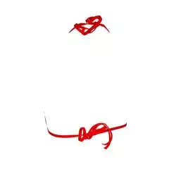 Haut de maillot de bain femme triangle, coques amovibles uni rouge
