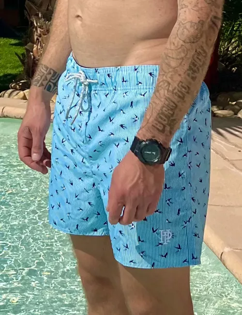 Boardshort homme rayé blanc et turquoise, motif oiseaux, poche au dos - tailles S à XXL