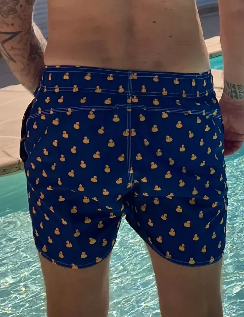Boardshort homme bleu marine imprimé canards, nœud de serrage et poche au dos - tailles S à XXL
