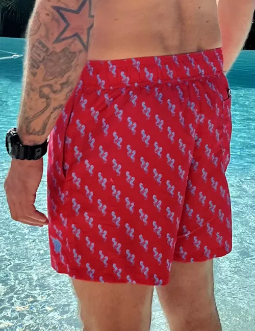 Boardshort homme rose motif hippocampe, nœud de serrage et poche au dos - tailles S à XXL